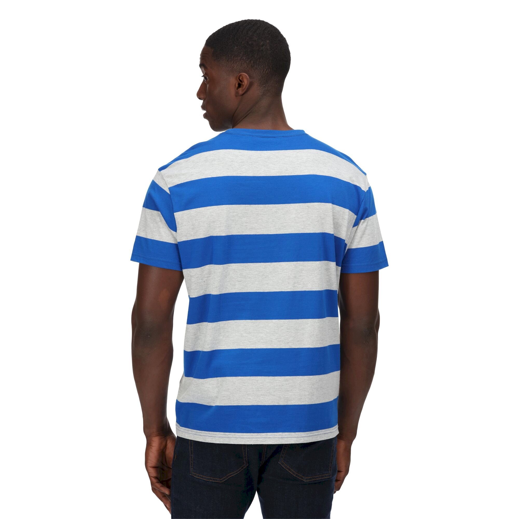 Men's Brayden Stripe T-Shirt | Lapis Blue Stripe