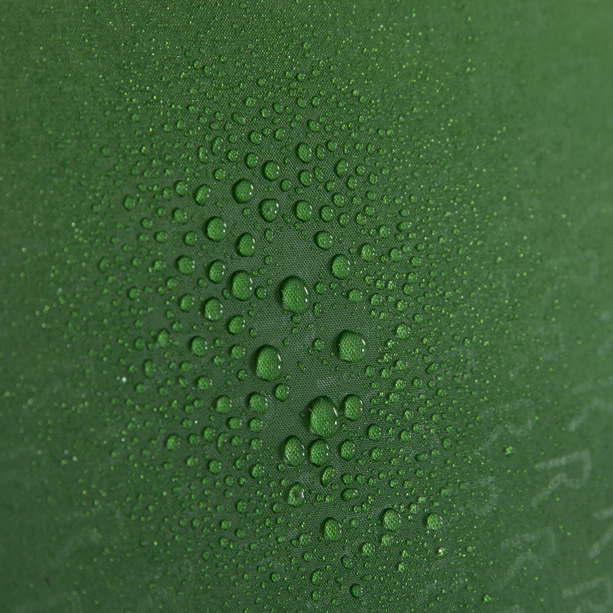 Montegra 4-Man Backpacking Tent | Alpine Green