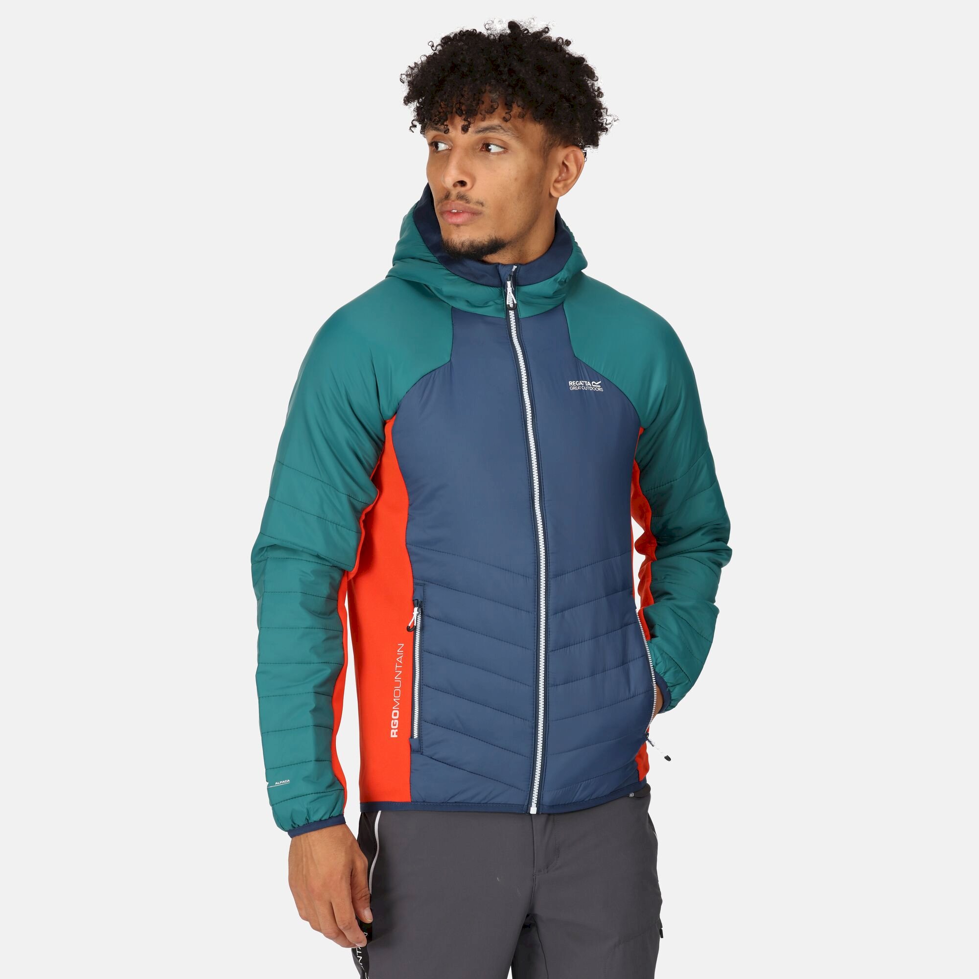 Men's Trutton Softshell Hooded Jacket | Admiral Blue Pacific Green