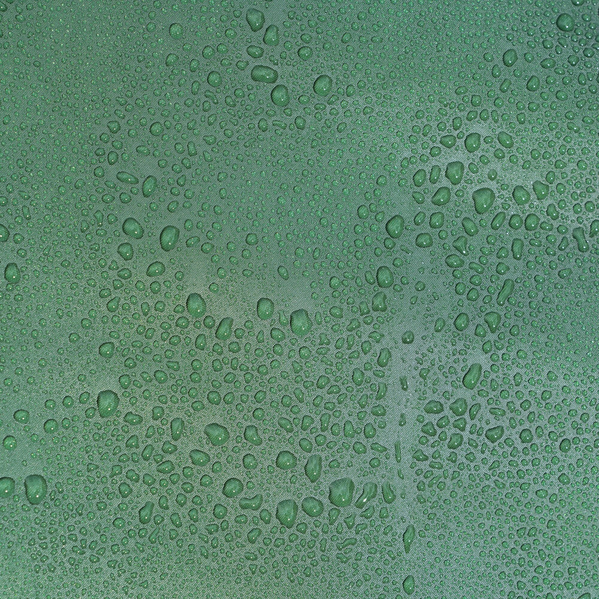 Kivu v3 3-Man Dome Tent | Greener Pastures Ebony