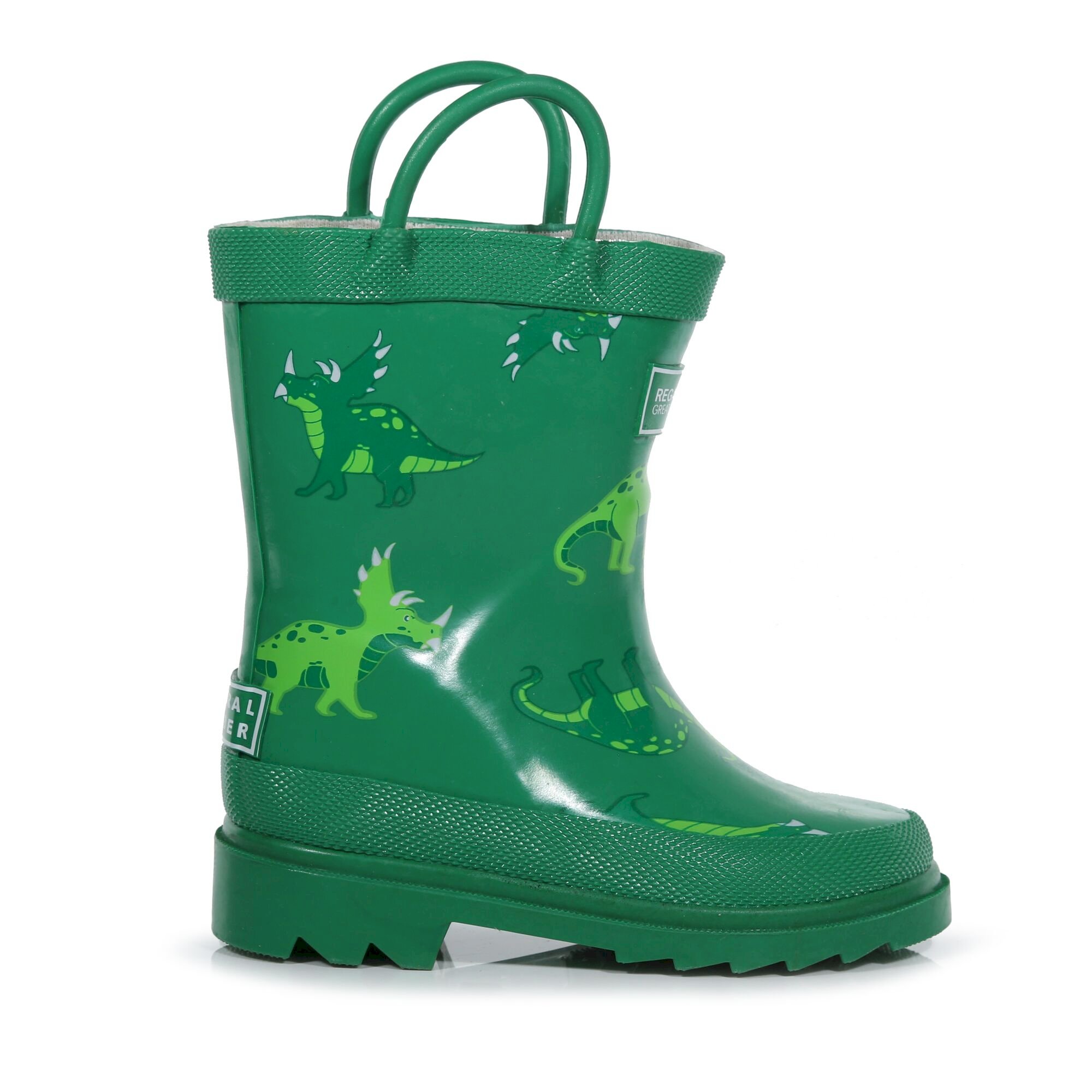 Kids Minnow Printed Wellies | Jelly Bean Dino