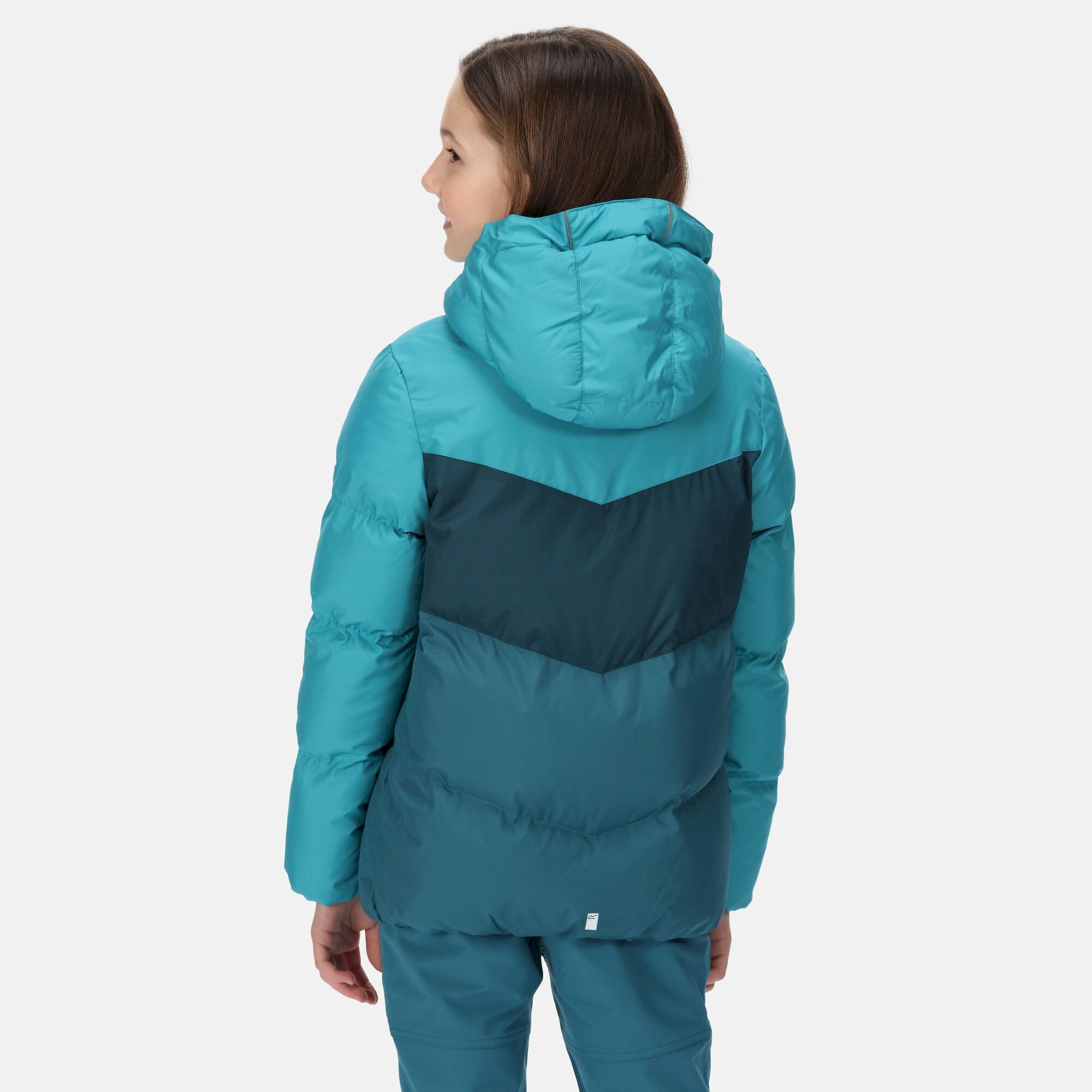Kids' Lofthouse VI Insulated Jacket | Pagoda Blue Reflecting Lake Dragonfly