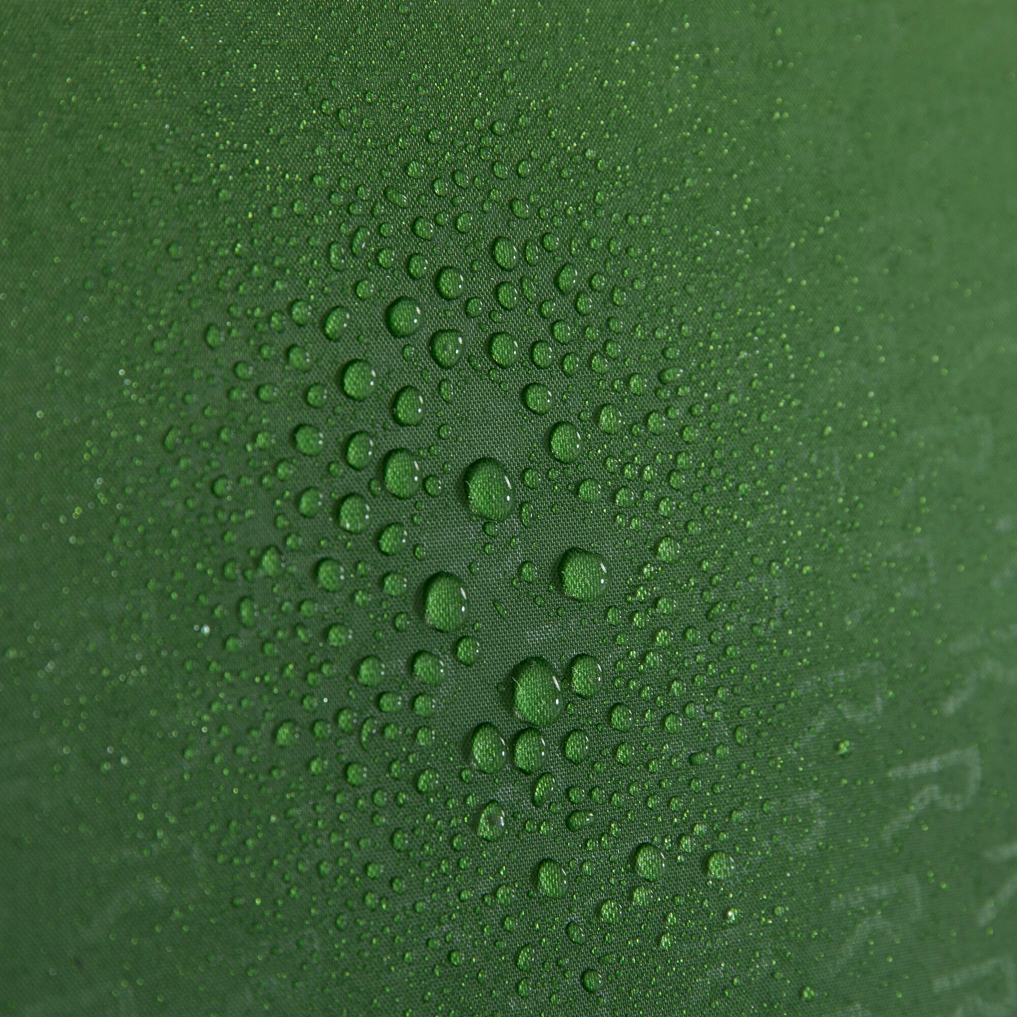 Montegra 2-Man Backpacking Tent | Alpine Green