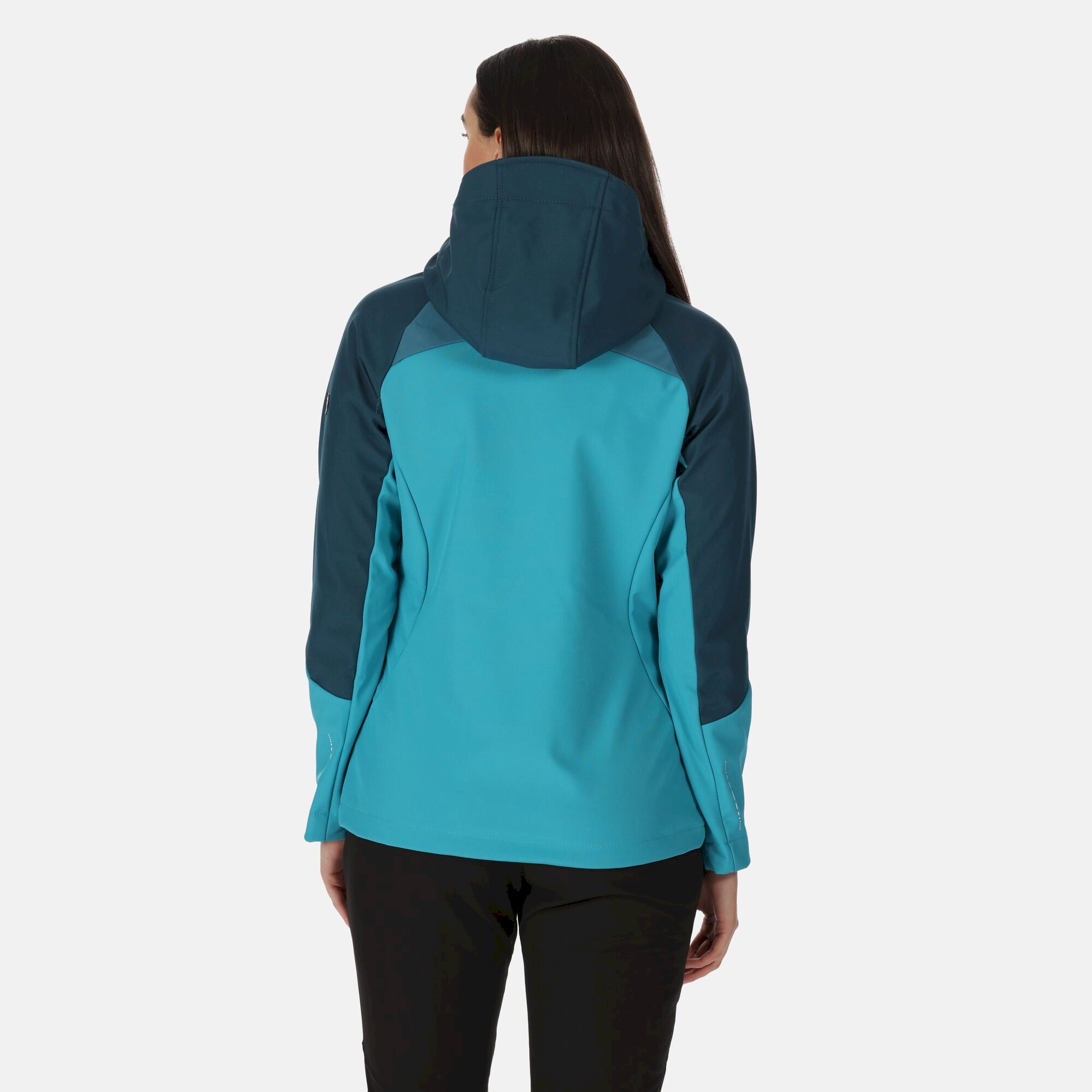 Women's Desoto VIII Lightweight Jacket | Reflecting Lake Dragonfly