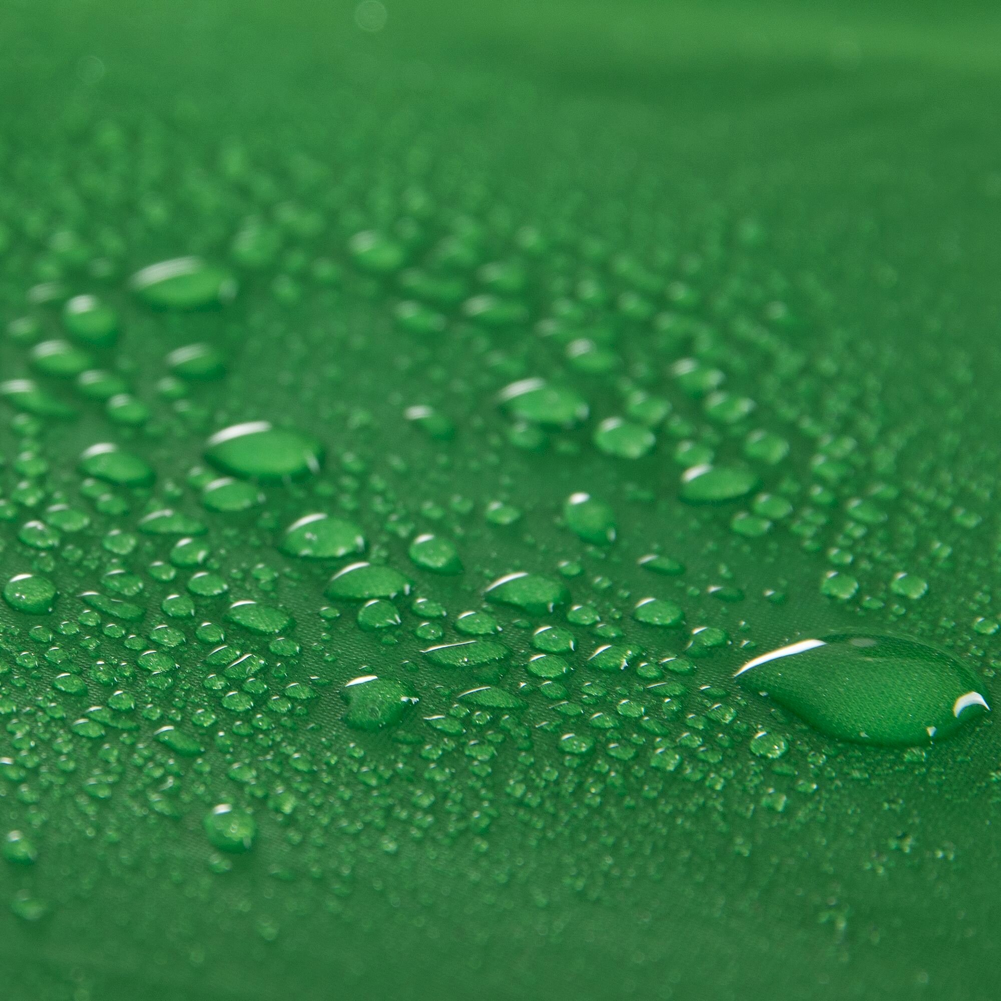 Vester 4 Man Tunnel Tent | Exreme Green Greener Pastures