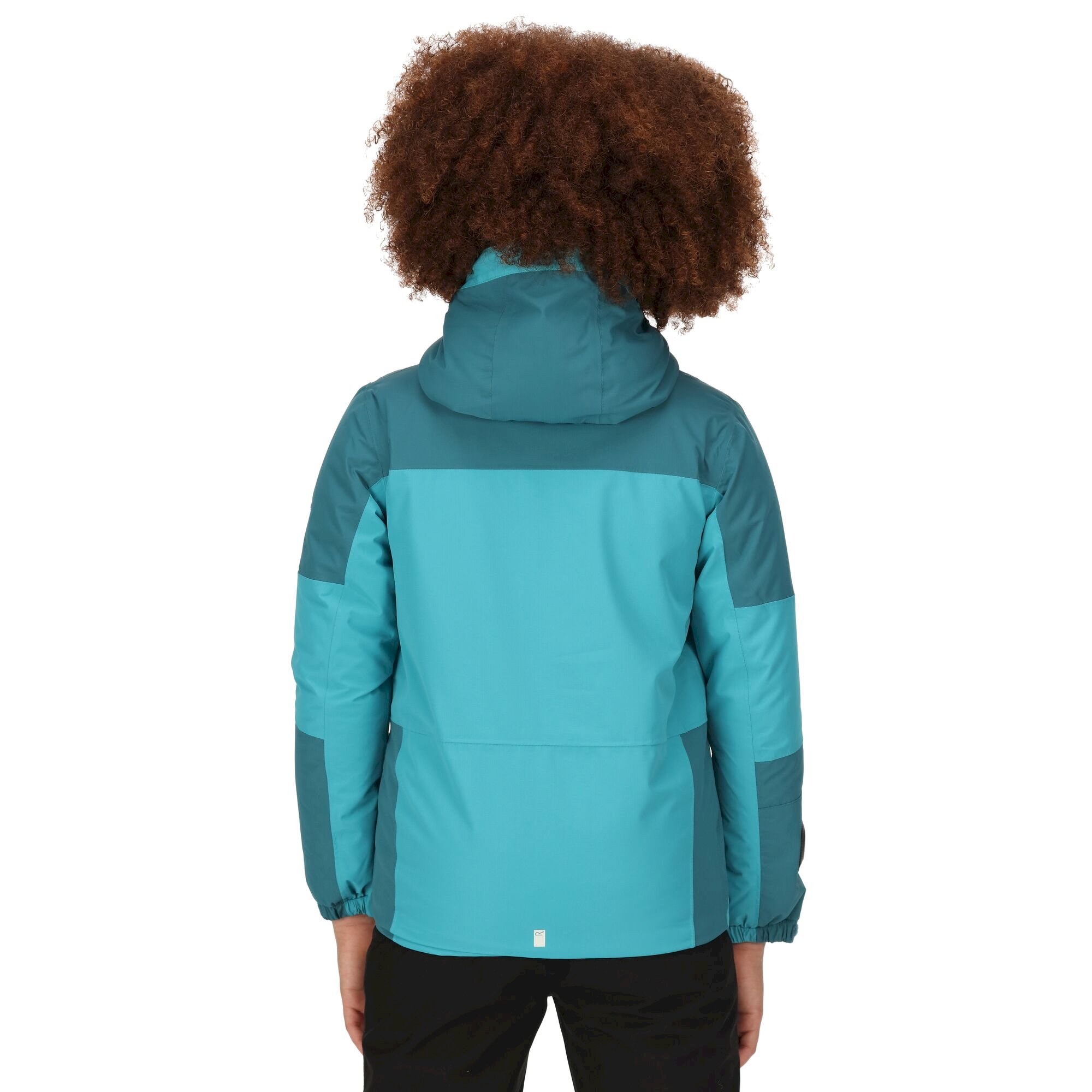 Kids' Beamz II Insulated Jacket | Pagoda Blue Dragonfly