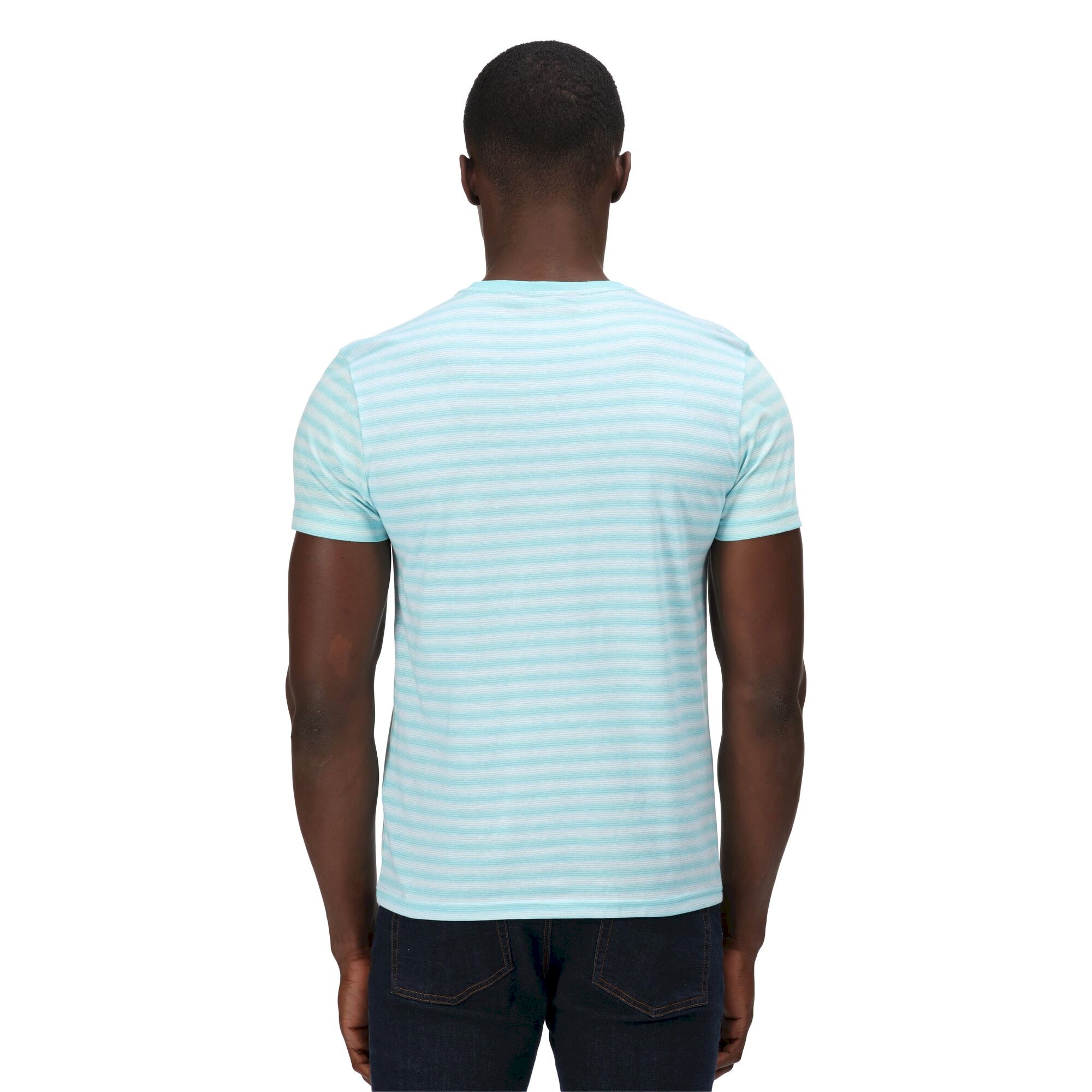 Men's Brayden Stripe T-Shirt | Antigua Blue Mini Stripe