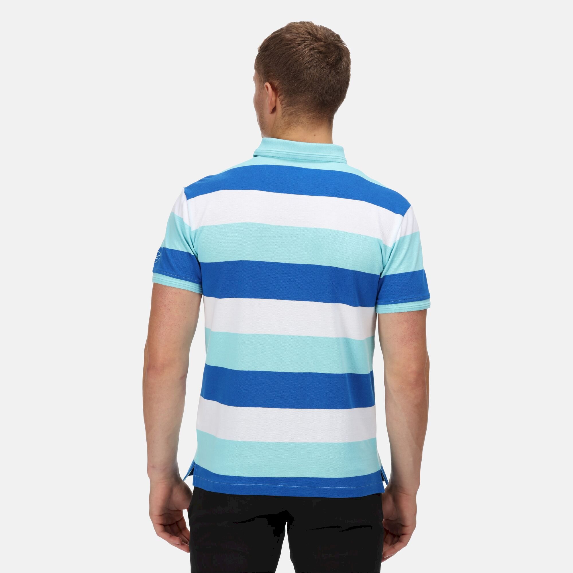 Men's Maxen Stripe Polo Shirt | Anitgua Stripe