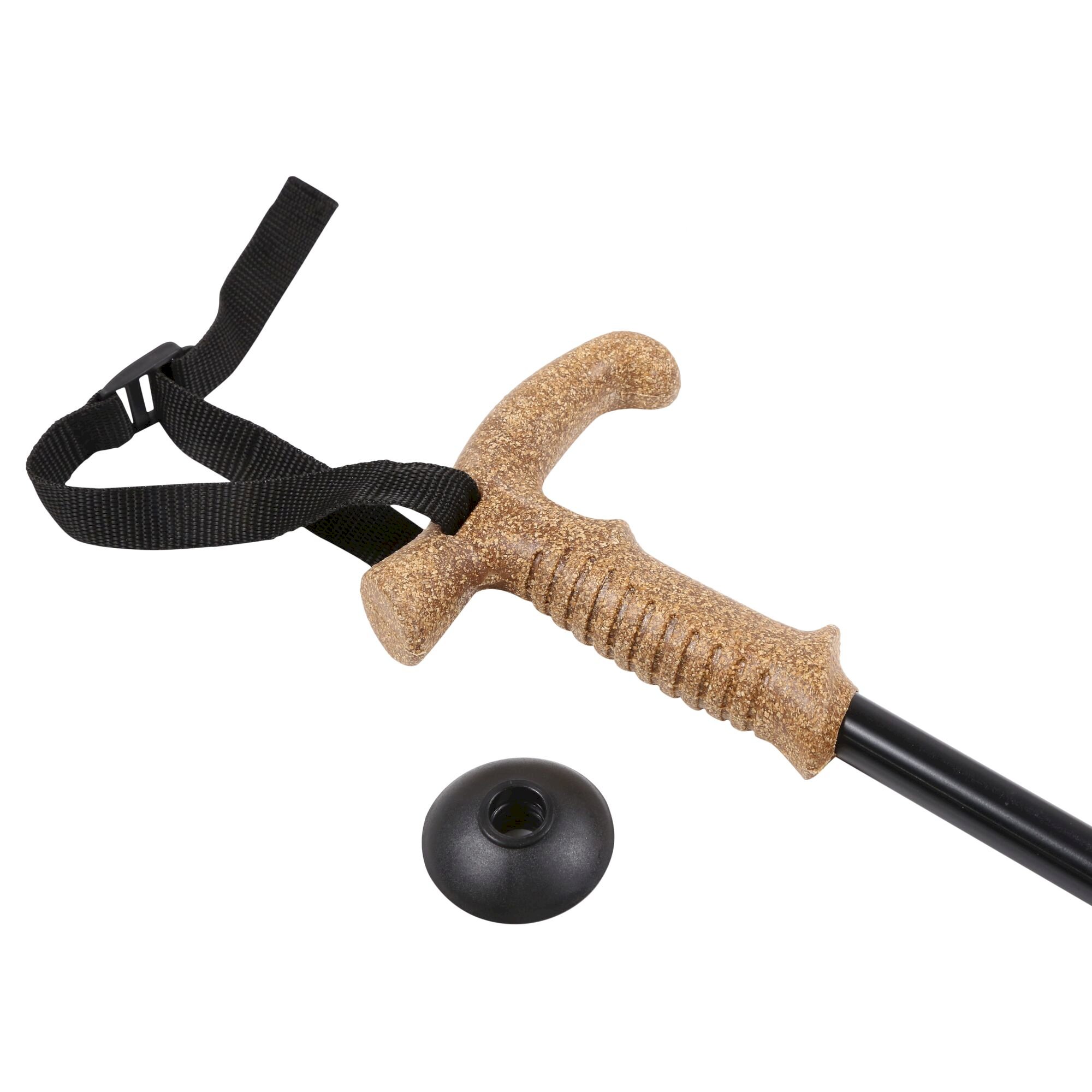 Crook Handle Walking Pole | Black