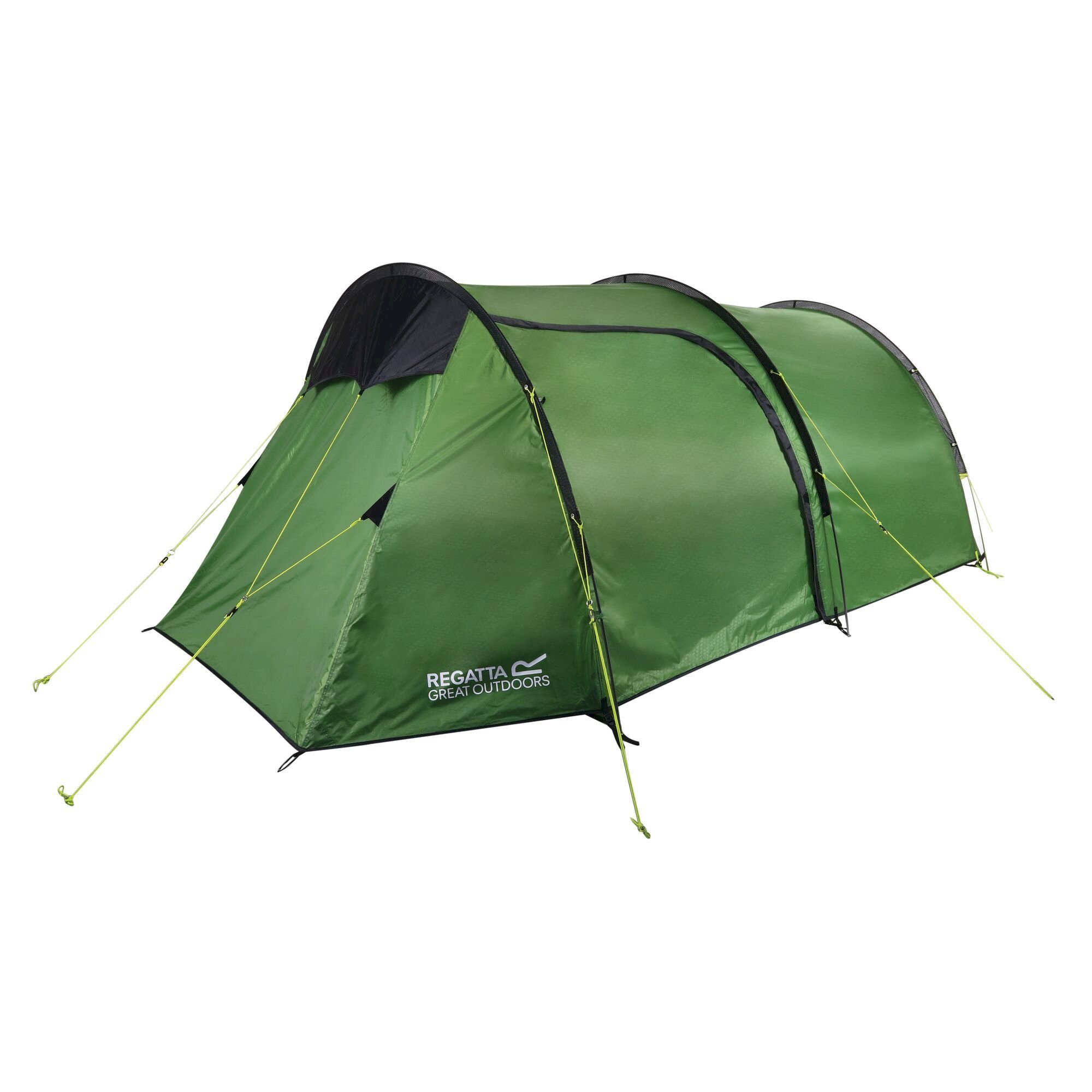 Montegra 4-Man Backpacking Tent | Alpine Green