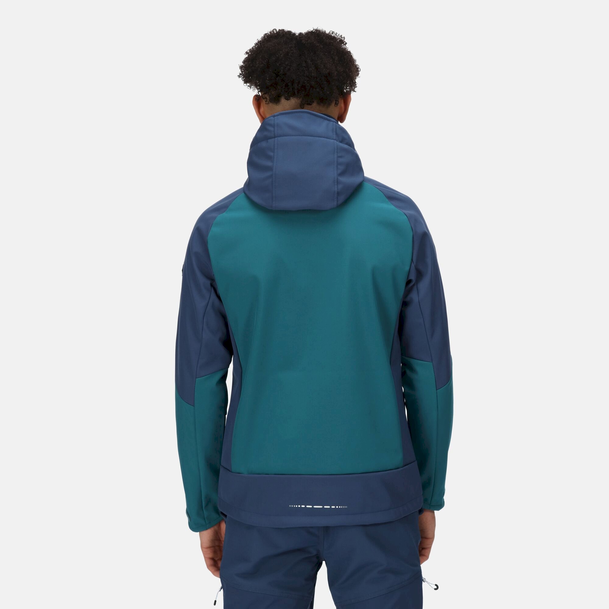 Men's Hewitts VII Softshell Jacket | Pacific Green Admiral Blue