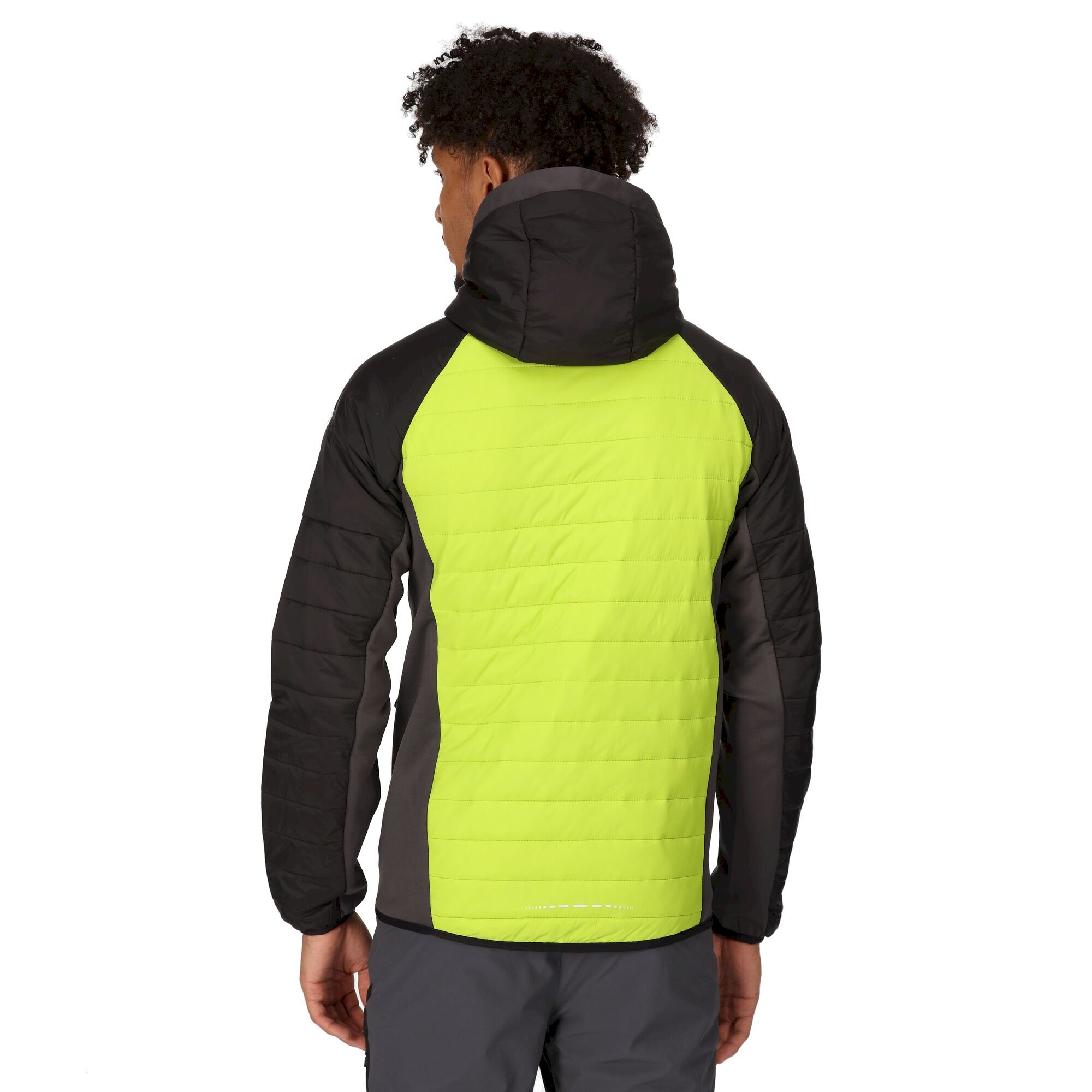 Men's Trutton Softshell Hooded Jacket | Bright Kiwi Black